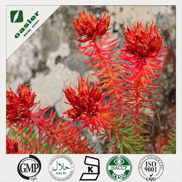 The Function of Rhodiola Rosea Extract-Protect the cardiovascular