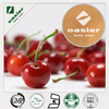 Acerola Cherry Extract