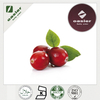 CRANBERRY EXTRACT