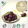 Bayberry Extract