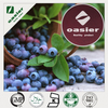 Bilberry Extract 