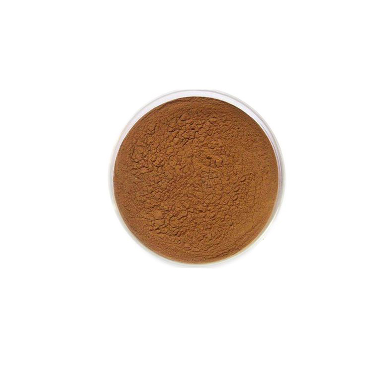 Factory Supply 100% Natural Artichoke Extract powder