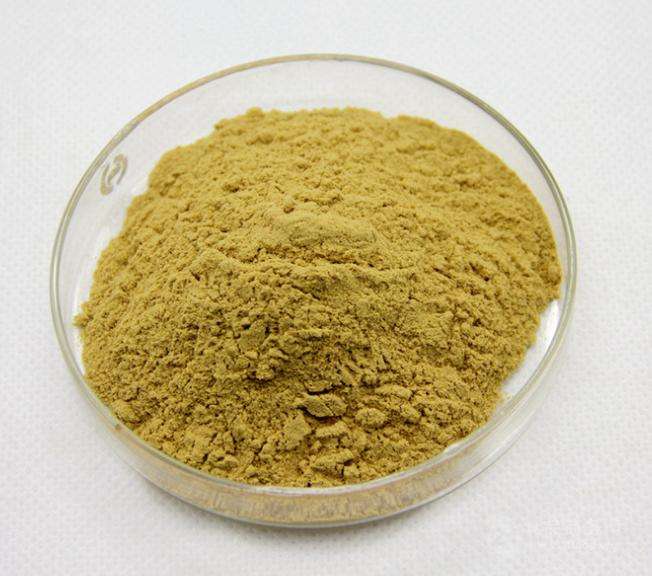 extract powder