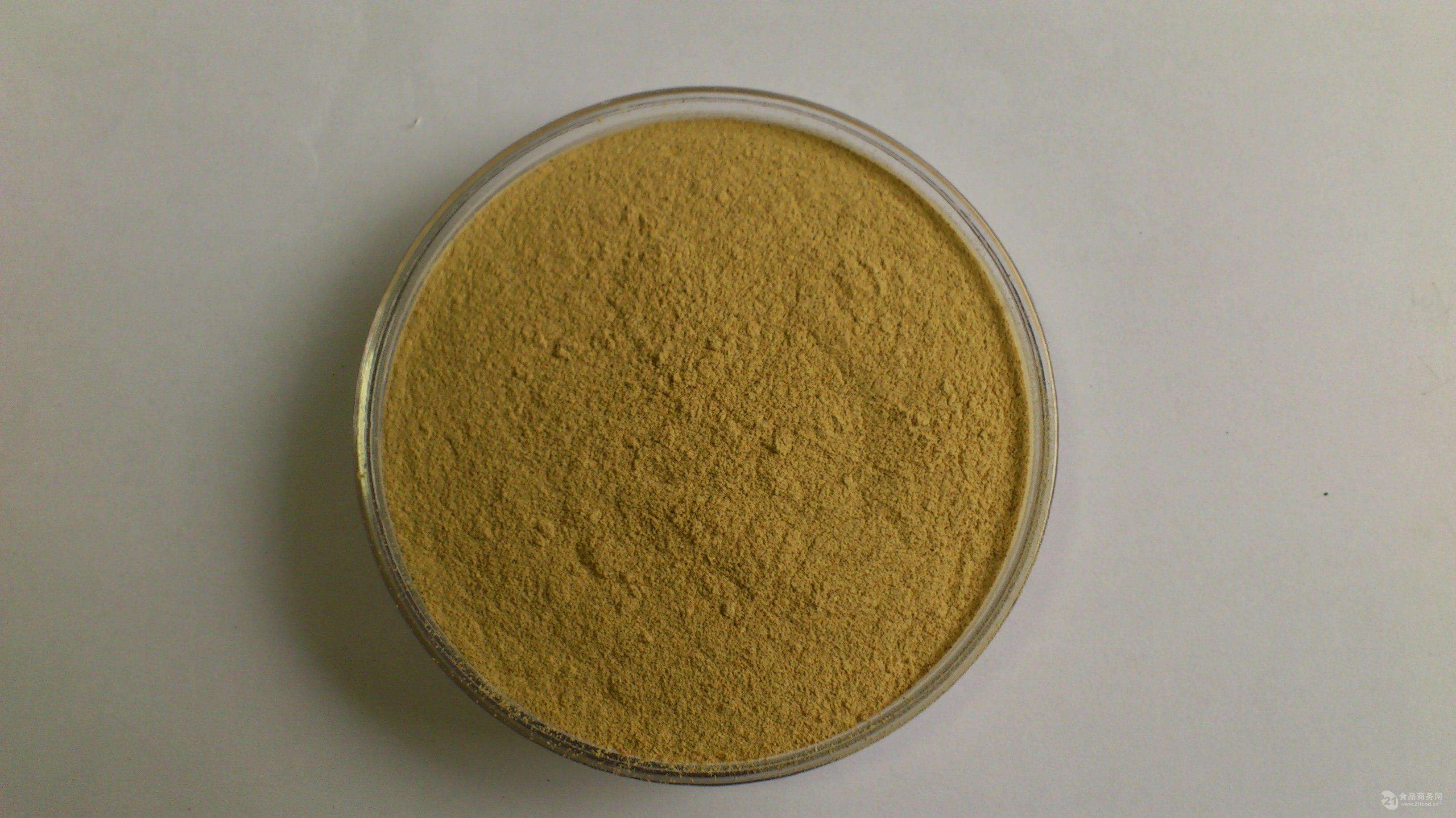Cistanche extract