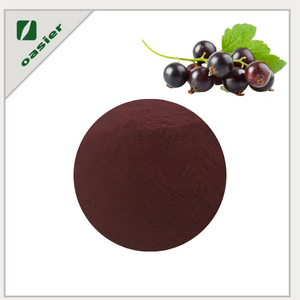 Black Currant Extract Supplement