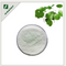 //iirnrwxhijmp5p.ldycdn.com/cloud/qnBqrKRjkSijkrkojnr/Wholesale-of-Natural-Centella-asiatica-extract-supplement-60-60.png