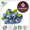 Bilberry Extract 