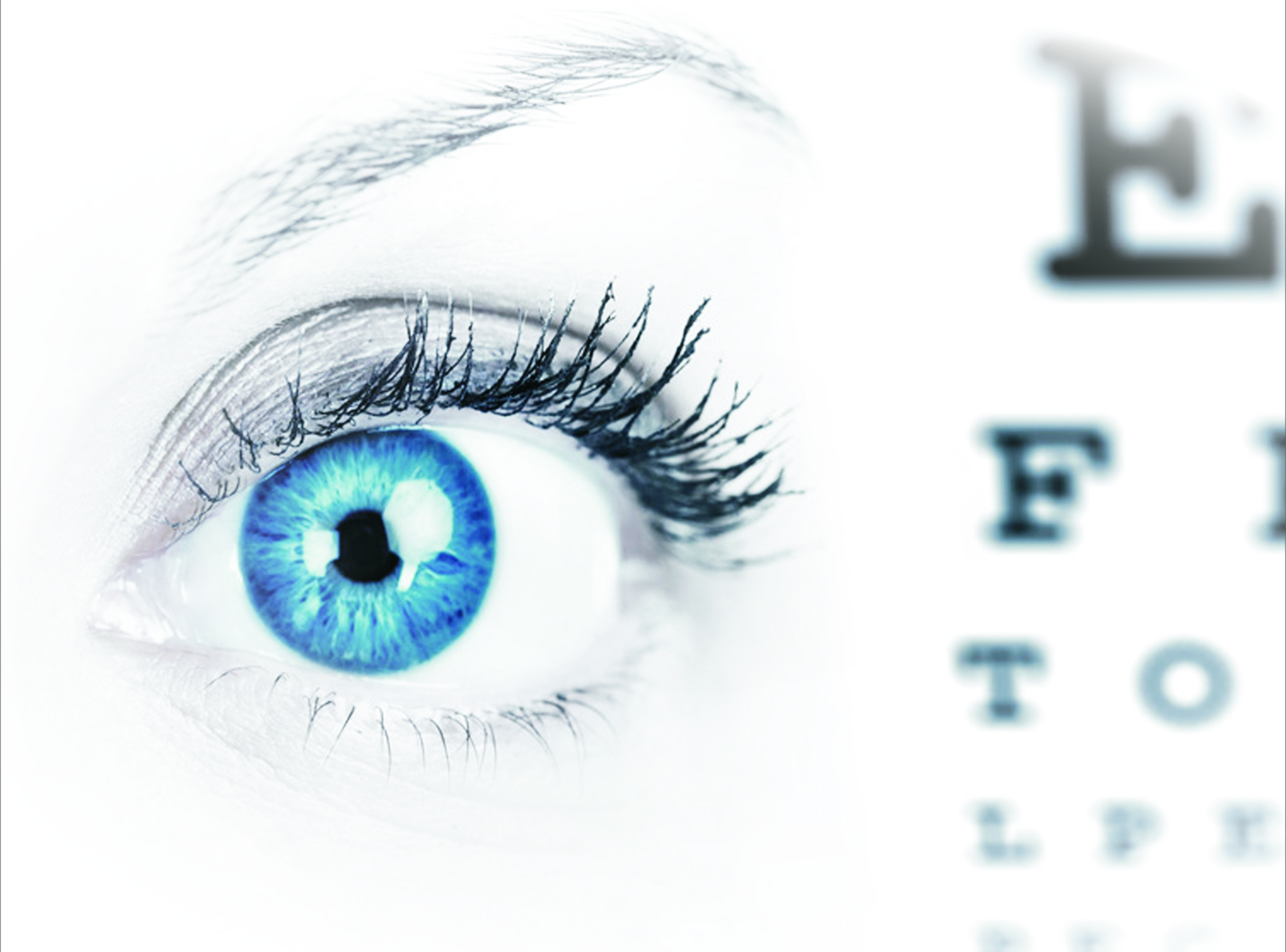 Bilberry extract relieve eyestrain