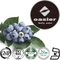 100% Natural Blueberry Extract