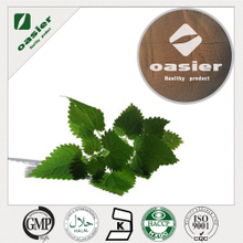 Nettle Extract