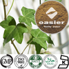 Hedera Helix Extract(Ivy Leaf Extract)