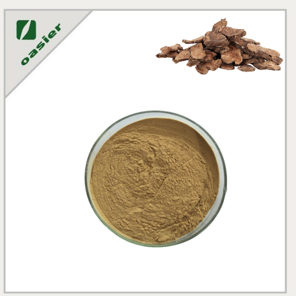 Atractylodes Macrocephala Extract Powder