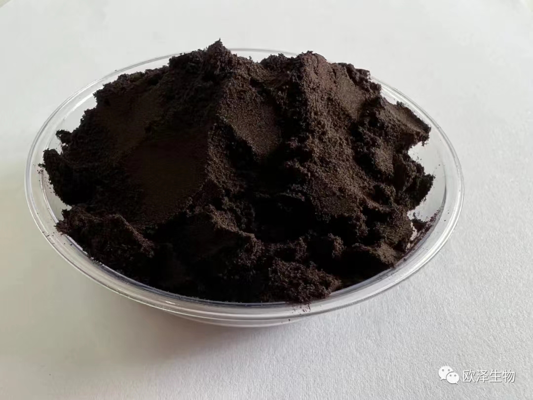elderberry extract powder