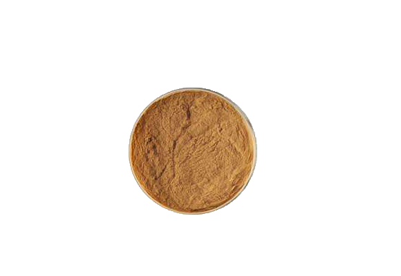 Solomonseal Rhizome Extract Polysaccharide