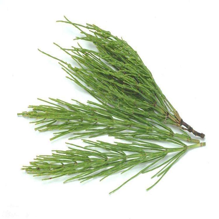 Horsetail extract Treatment of fall injuries