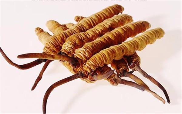 Source of extraction