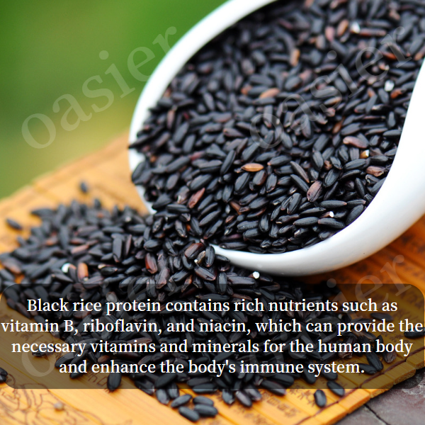 Black Rice Protein