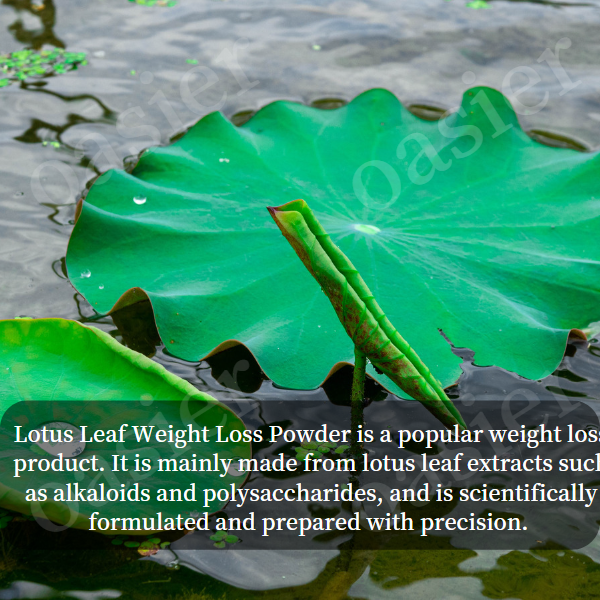 Lotus Leaf Weight Loss Powder is a popular weight loss product.