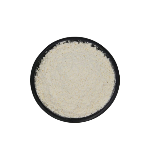 White kidney bean extract in bulk
