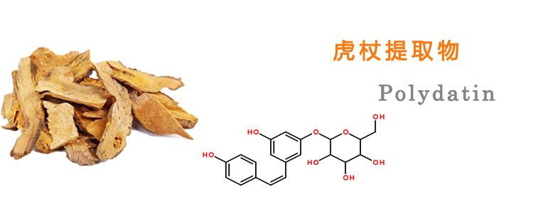 Polygonum cuspidatum extract