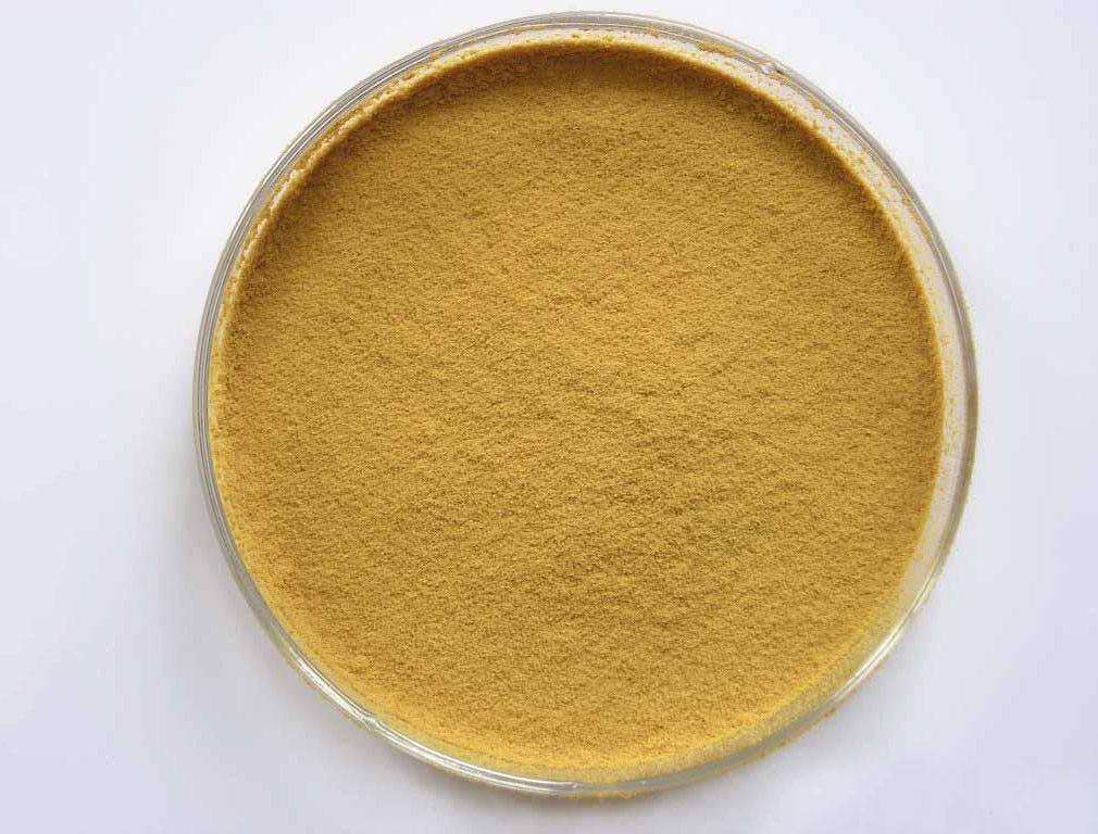 shiitake mushroom powder