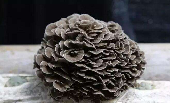 4d7b9504f918e0c8383954705e0ae43c