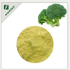 Broccoli Sprout Extract