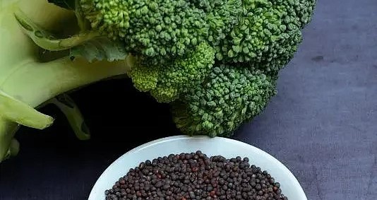 Broccoli seeds