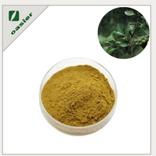Lithocarpus Litseifolius Folium Powder