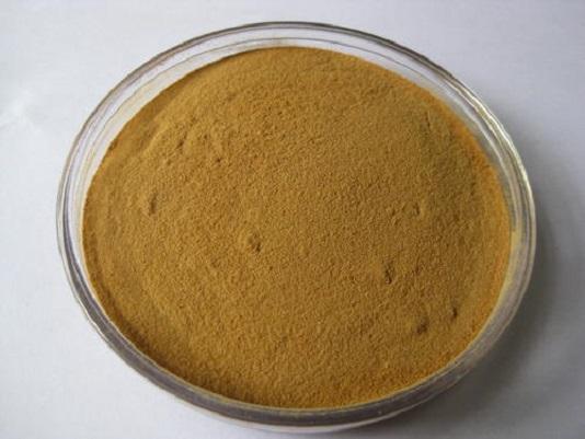 fenugreek seed supplement