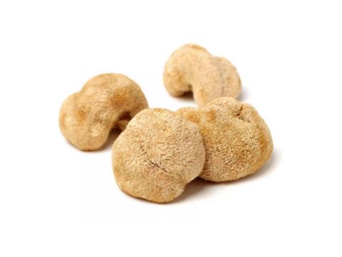  lion's mane mushroom extract