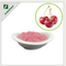 //rrrnrwxhijmp5p.ldycdn.com/cloud/qpBqrKRjjSnolpjllki/montemorense-cherry-fruit-extract-60-60.png