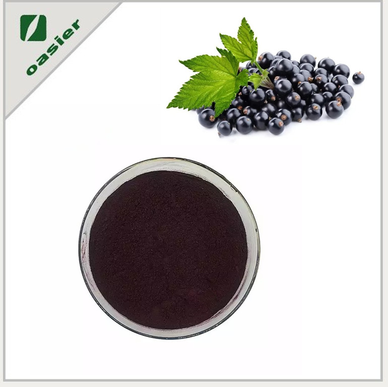 Best Selling Factory Price Black currant Extract