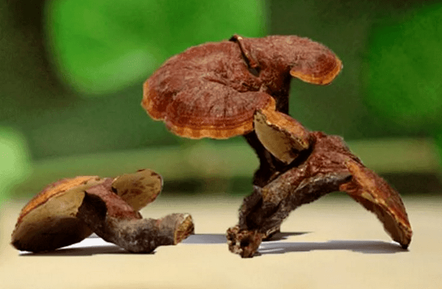 10%-30%Polysaccharides