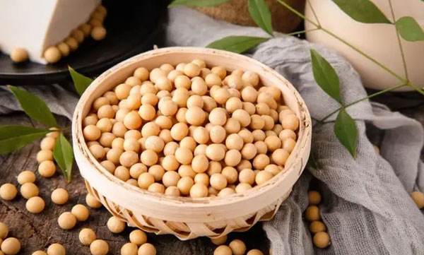 soybean phosphatidylcholine can be widely used in various fields such as food