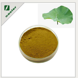 Lotus Leaf Extract Supplier