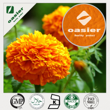 Marigold extract - Lutein