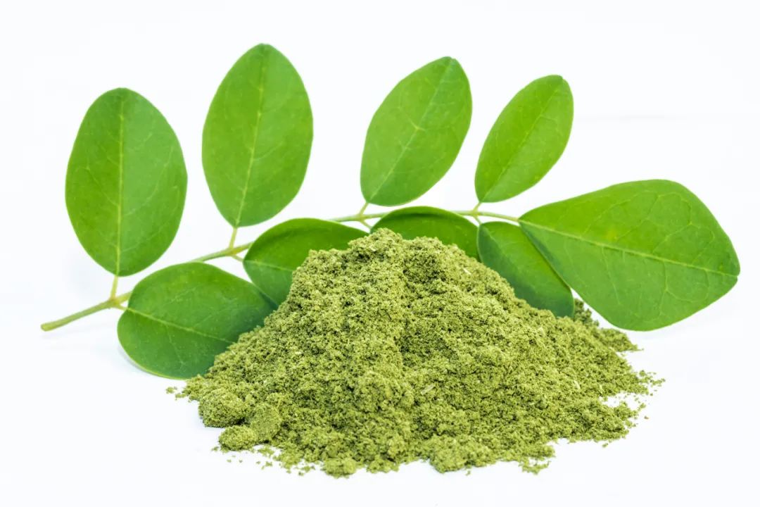 Moringa-Leaf-powder