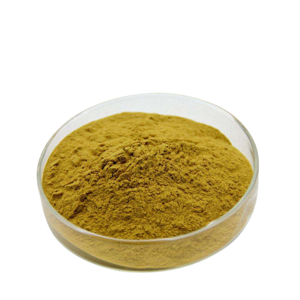 Radix Isatidis Extract powder supplier
