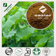 Lotus Leaf Extract 